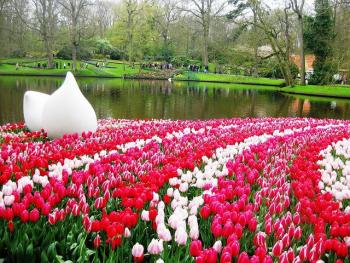 узнать больше фото